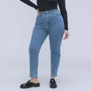 Everlane The Curvy Cheeky Tapered Leg Jean Women's 27 Blue